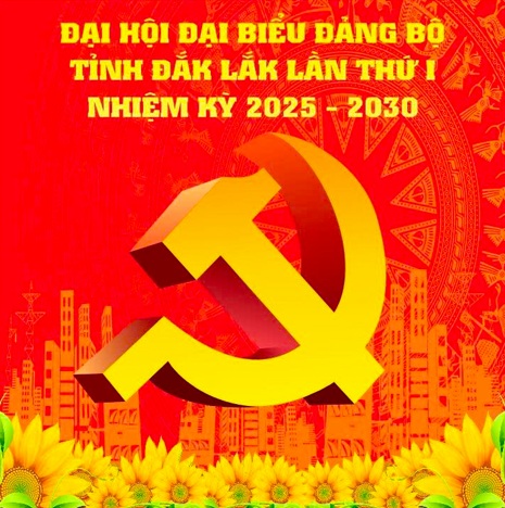 Đại hội Đảng bộ tỉnh 
